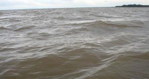 hakaluki haor moulvibazar