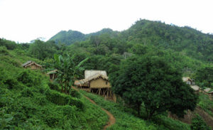 সিপ্পি আরসুয়াং